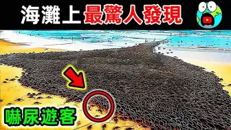 Descargar video: 亲眼看见都不敢相信！ 15个海啸最可怕的惊人发现，第一名游客当场被吓尿