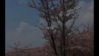 jejekrjfjfjeiiwiwei