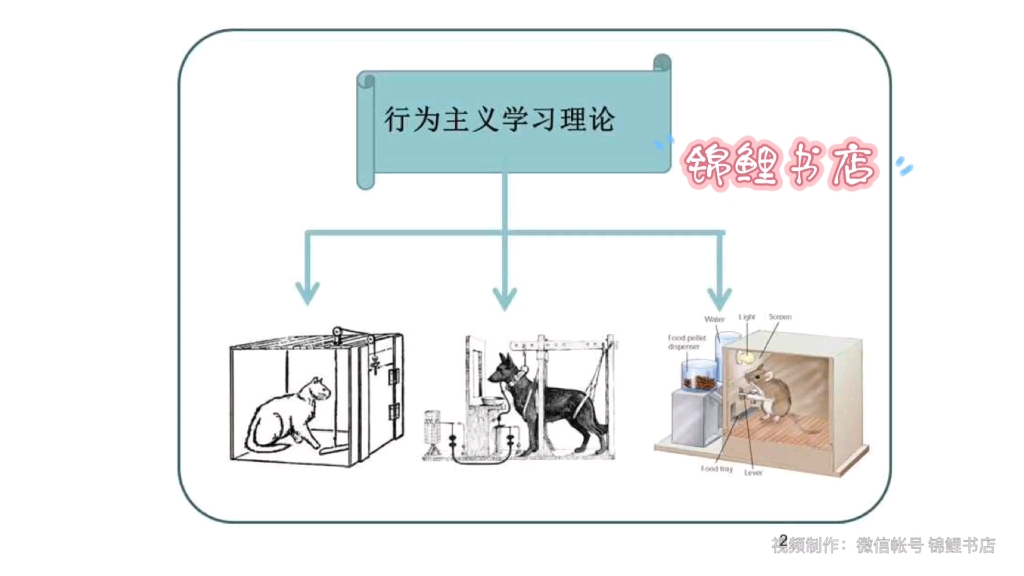 教综常考人物——【巴甫洛夫】——“经典性条件作用理论”“高级神经活动类型学说”——学习与学习理论(教育学、心理学、教育心理学相关实验)哔...