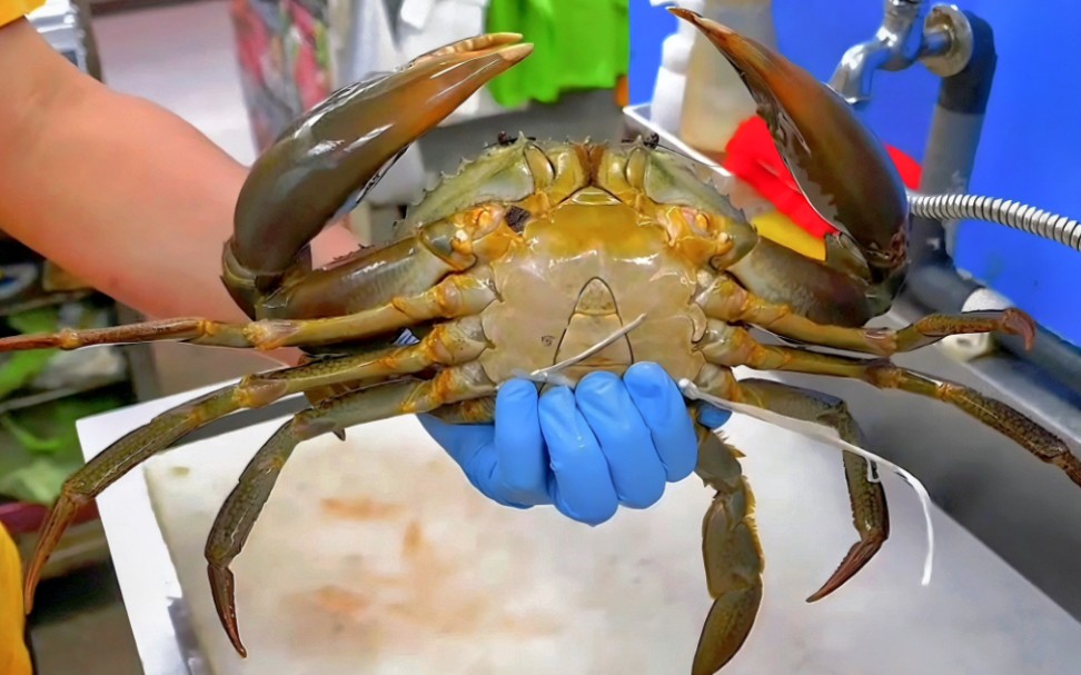 见识一下,外国人杀大螃蟹现场,烹饪手法简直就是山寨版的中餐!