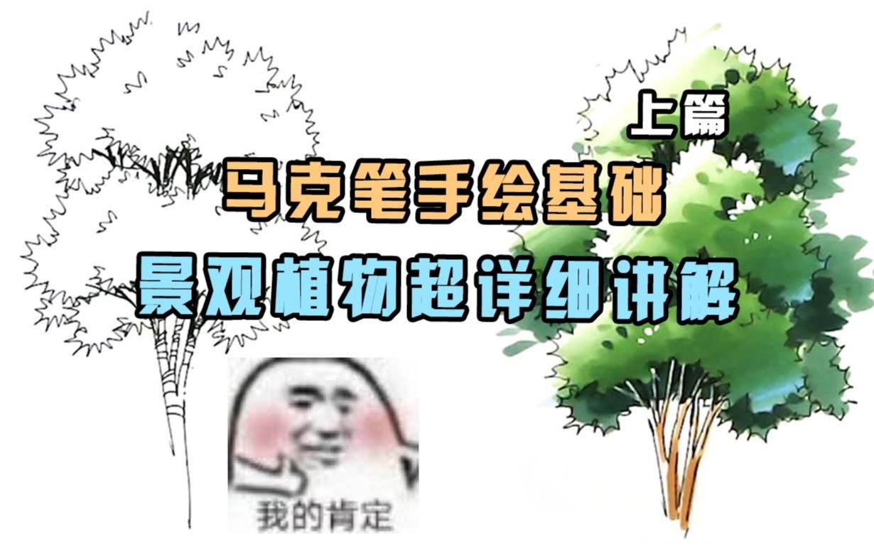 【马克笔手绘基础】景观树木讲解上篇哔哩哔哩bilibili