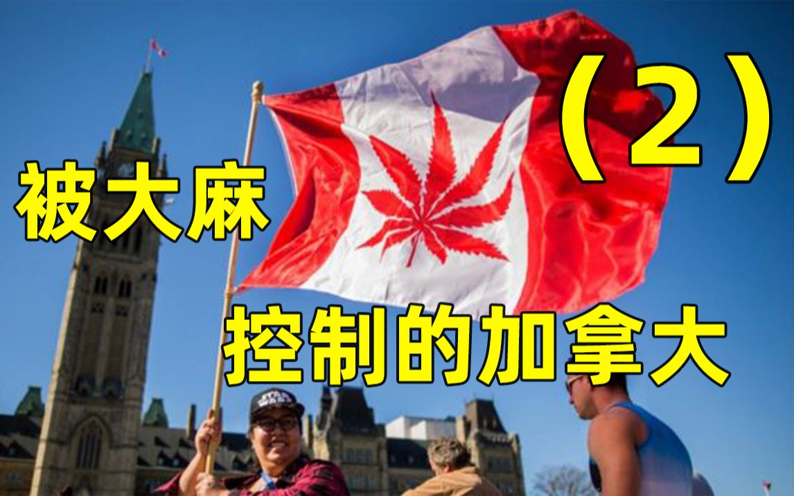 被大麻“控制”的加拿大,七分之一的人都吸过大麻 !(二)哔哩哔哩bilibili