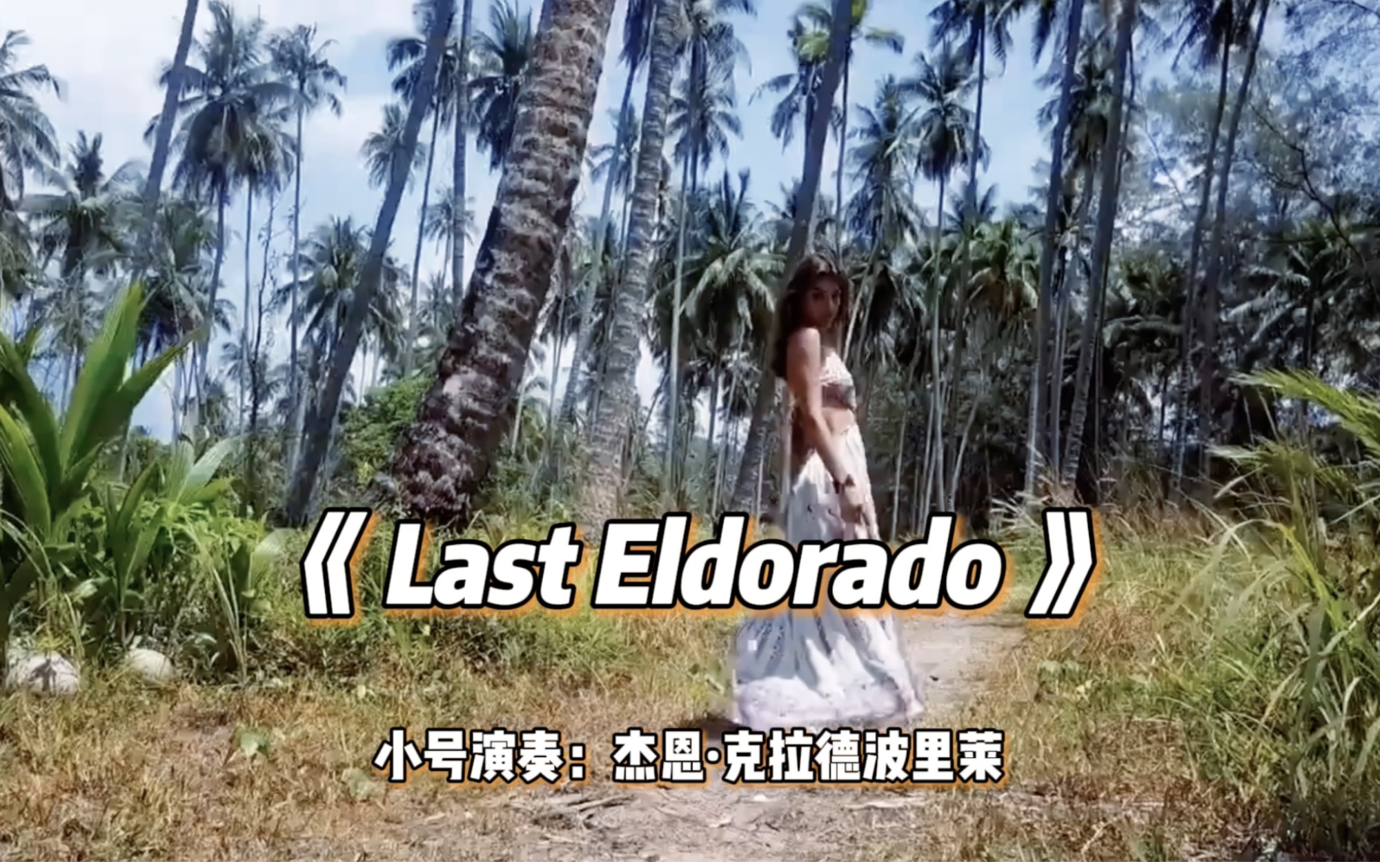 [图]纯音乐，法国小号大师演奏经典名曲《Last Eldorado》，超好听