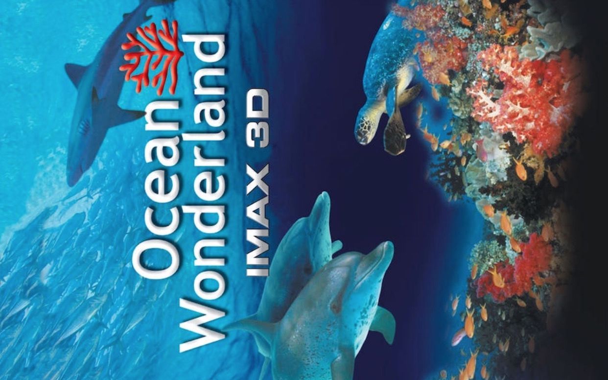 [图]【IMAX】海洋仙境 1080P中英文双语字幕 Ocean Wonderland