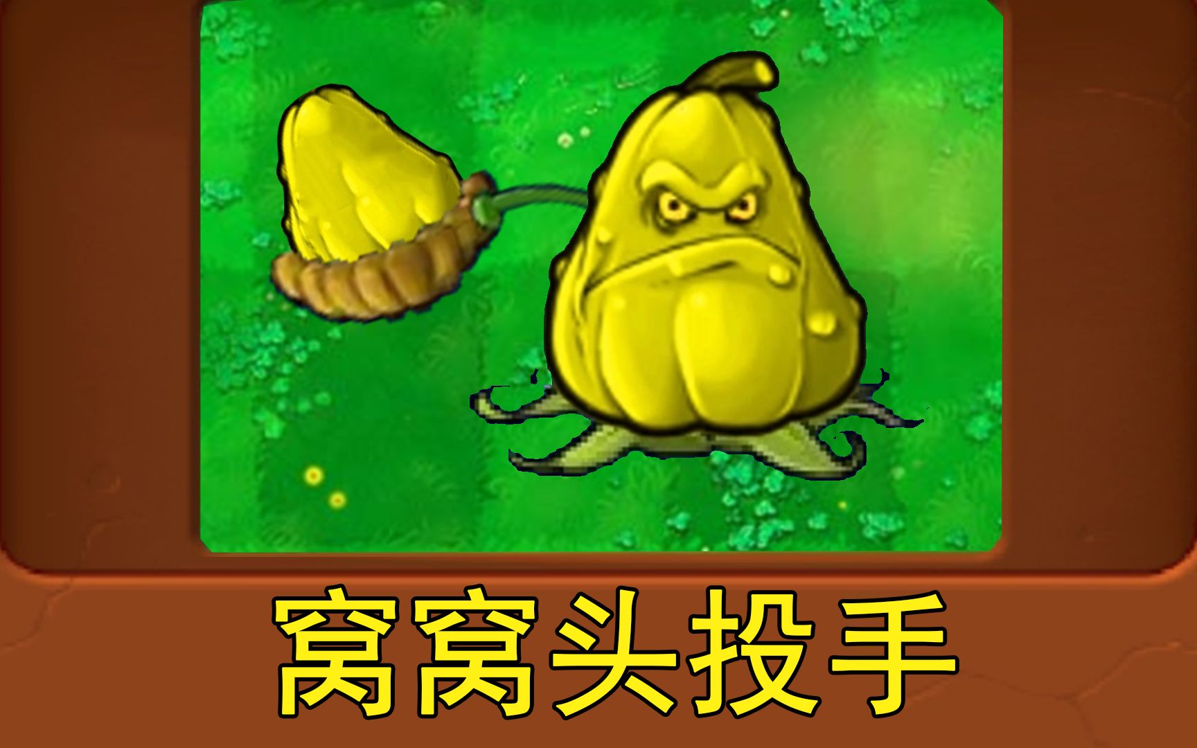 新植物:窝窝头投手(植物大战僵尸魔改版)
