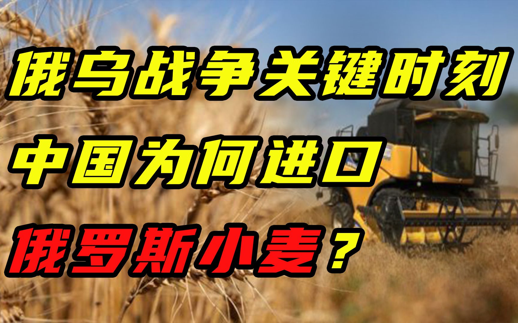 [图]【每日读报】俄乌战争关键时刻，中国为何进口俄罗斯小麦？