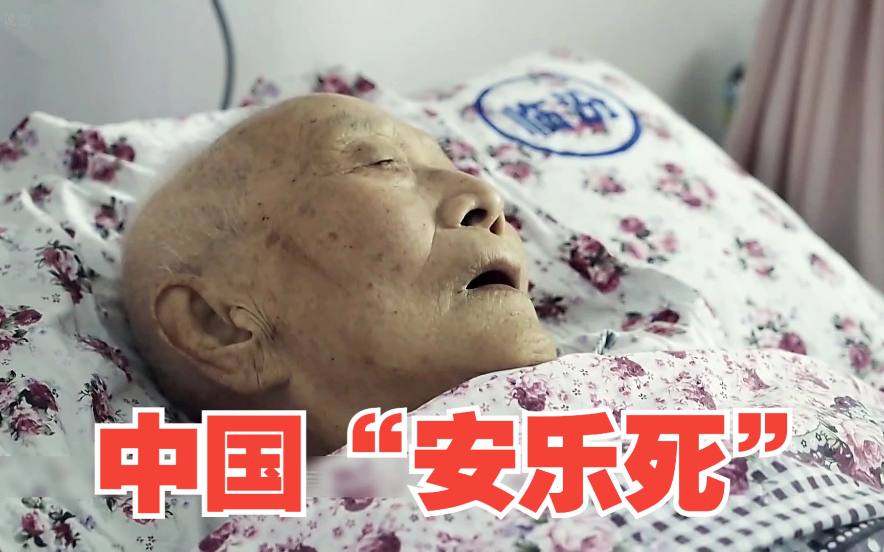 “安乐死”哔哩哔哩bilibili