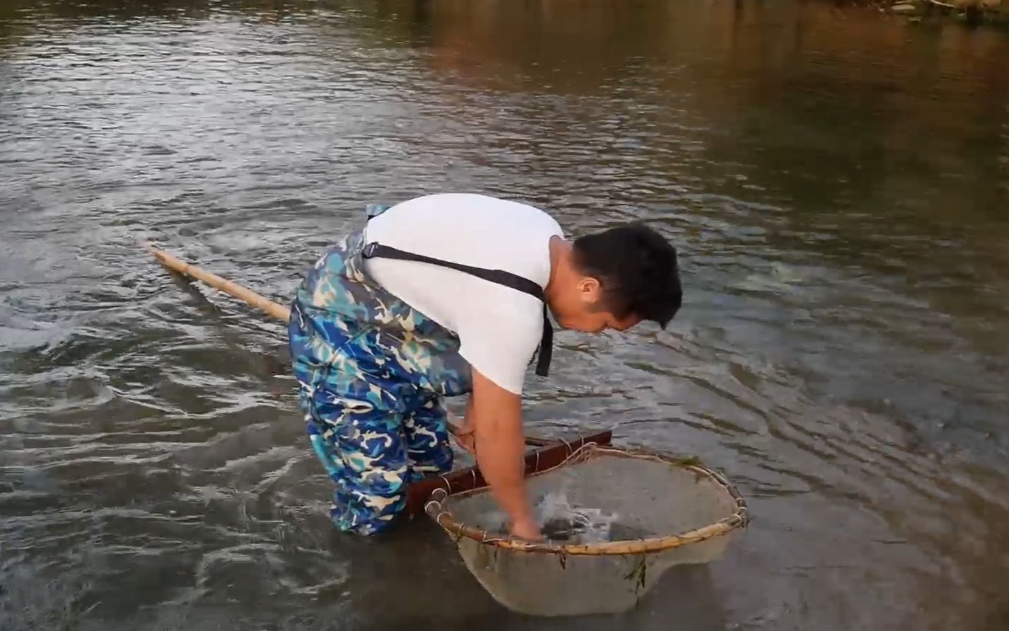 小强新地点捞虾子,白天忙到黑夜,收获很不错值了