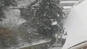 看南工的雪想给你的画