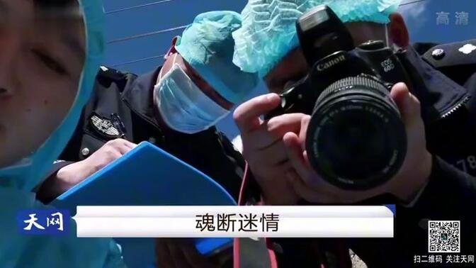 魂断迷情,老实人忽然被杀抛尸河中,凶手和他妻子关系不一般