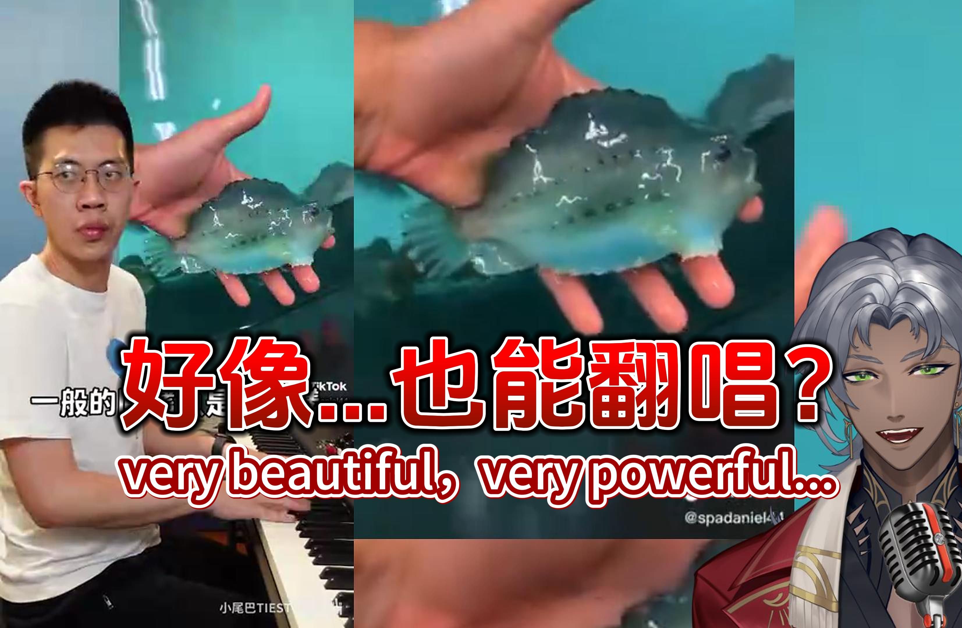 【阿力翻唱】very beautiful,very powerful...哔哩哔哩bilibili