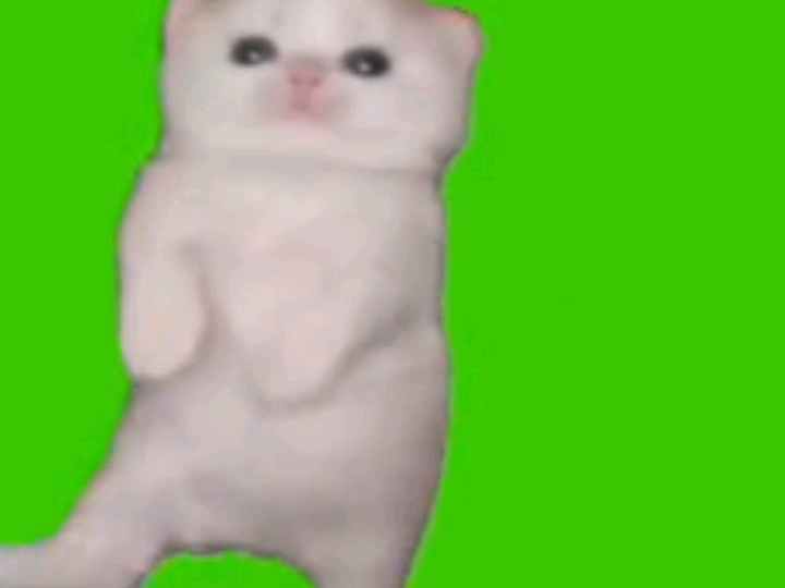 piupiupiu素材