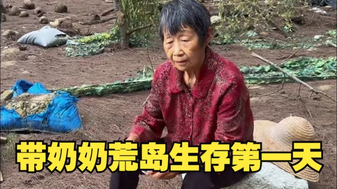 挑战带奶奶荒岛生存15天 第1天