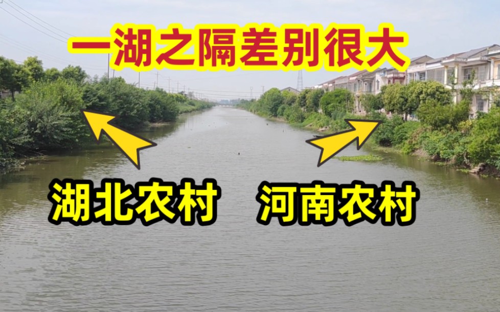 实拍湖北省与河南省交界处,一河之隔差距很大,真是涨见识了!哔哩哔哩bilibili