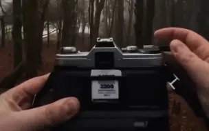 Скачать видео: 雨天在树林里拍摄黑白胶卷