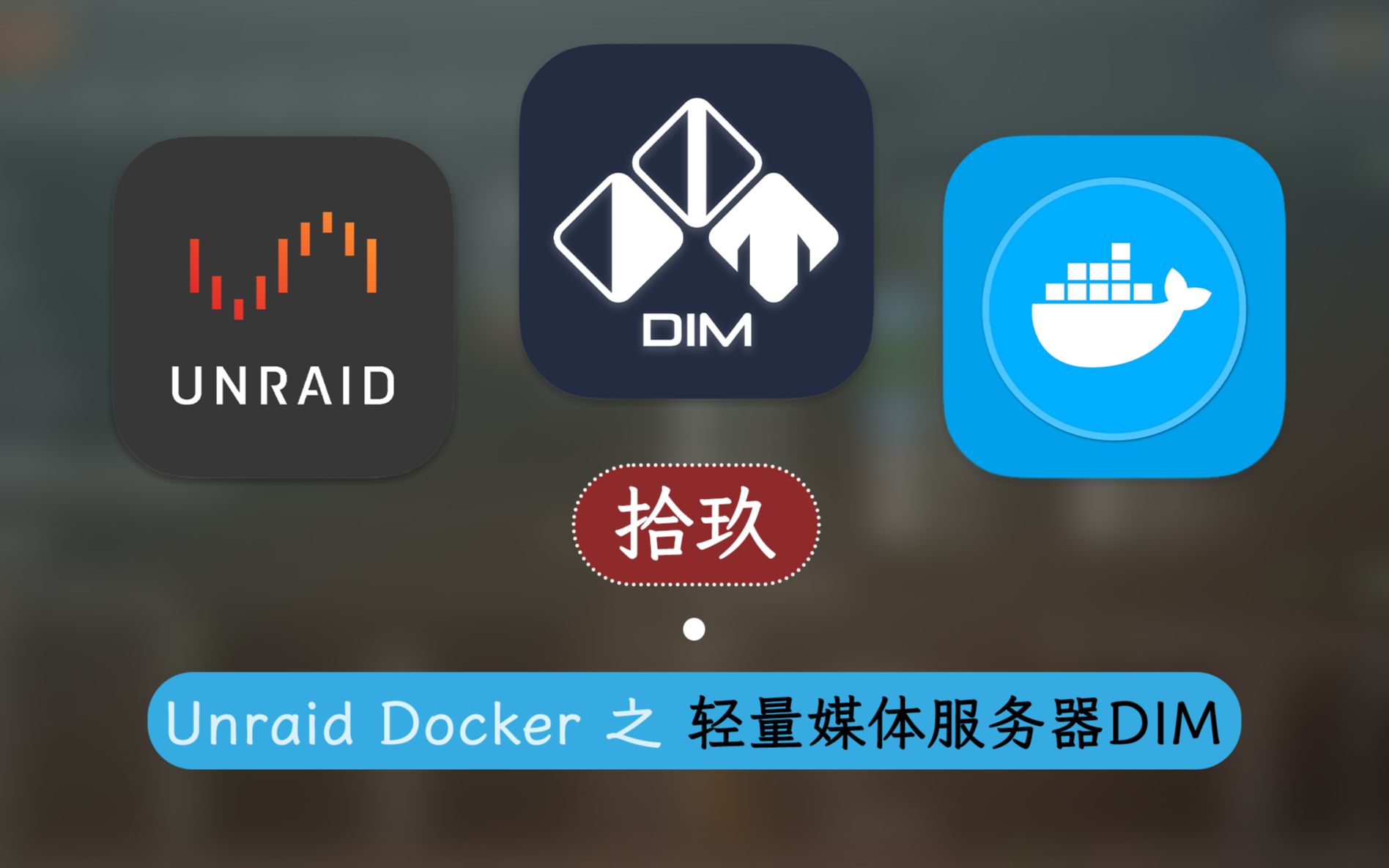  dim unraid docker 19 video downloader