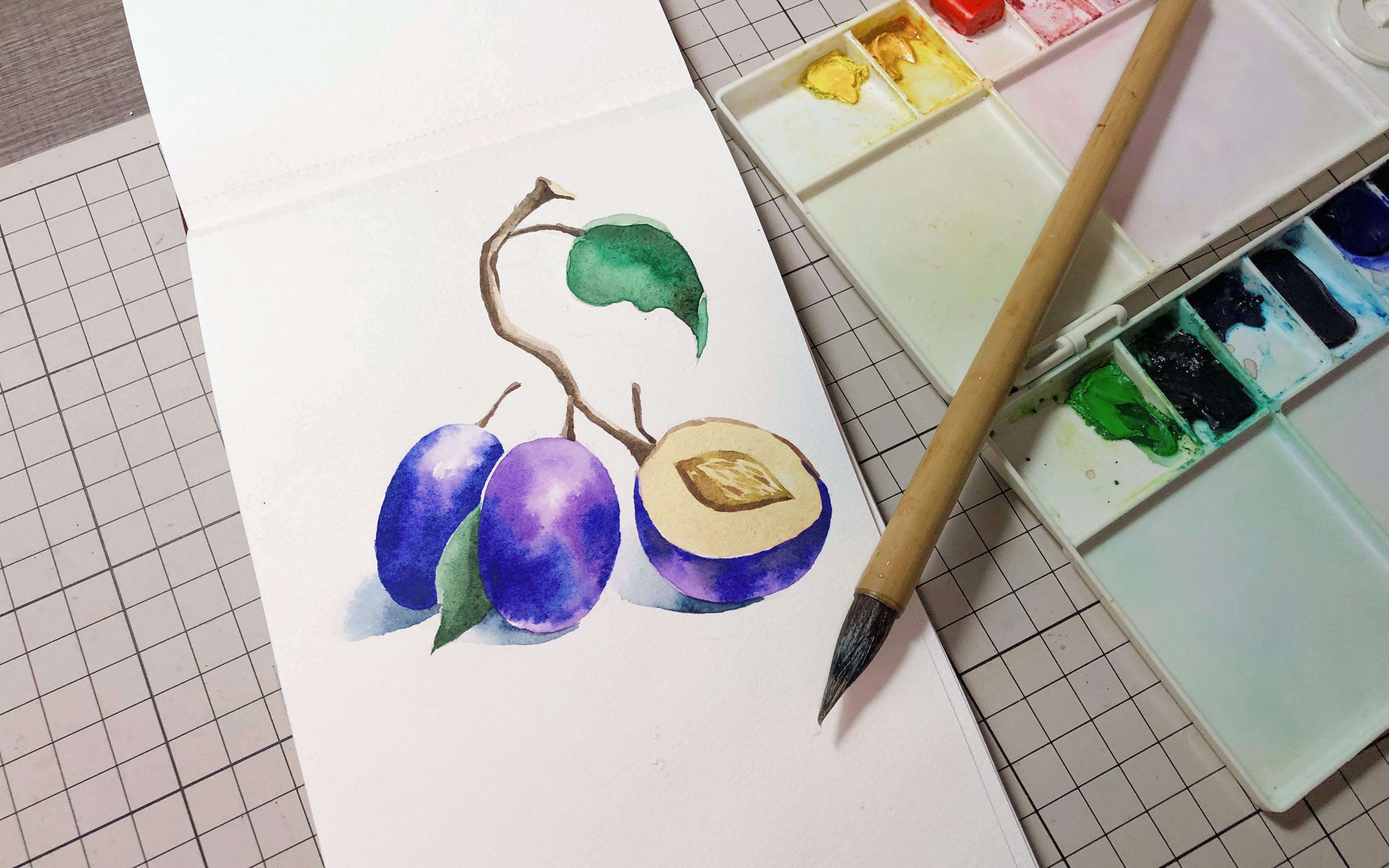 【水彩】思艺水彩 | 绘画过程系列062 | 梅子_哔哩哔哩_bilibili