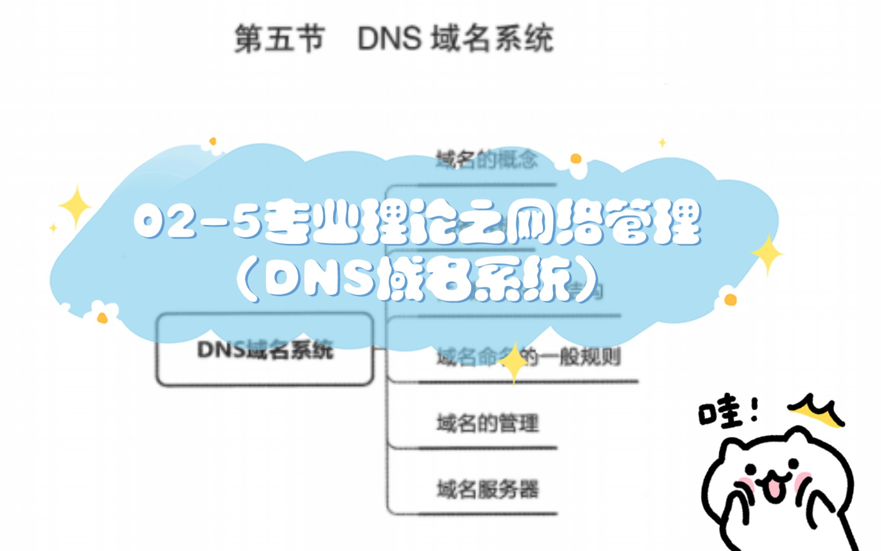 【教编】025专业理论之网络管理(DNS域名系统)哔哩哔哩bilibili