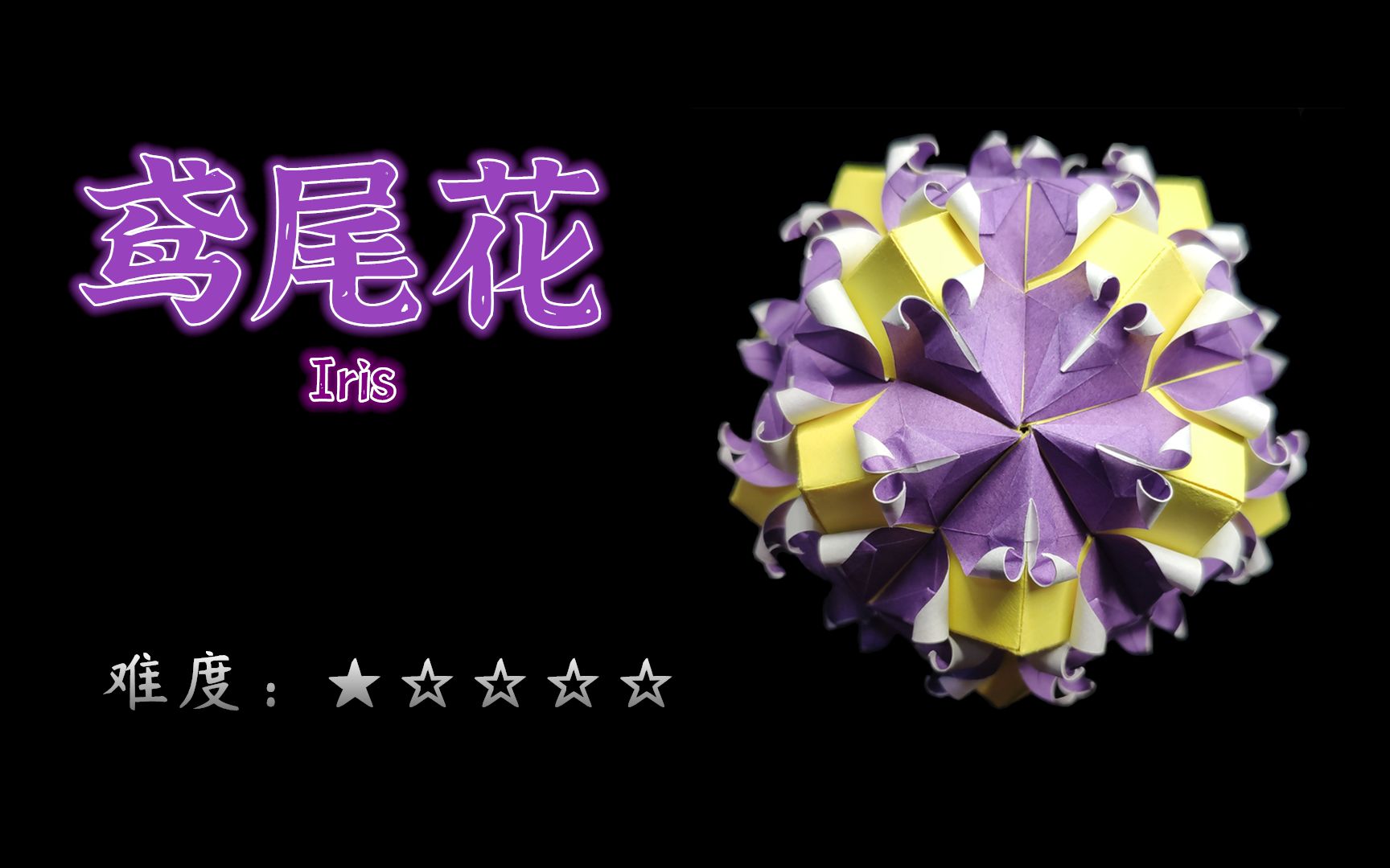 [图]【花球教程86】自由、纯真、爱和想念~花球：鸢尾花（Iris）