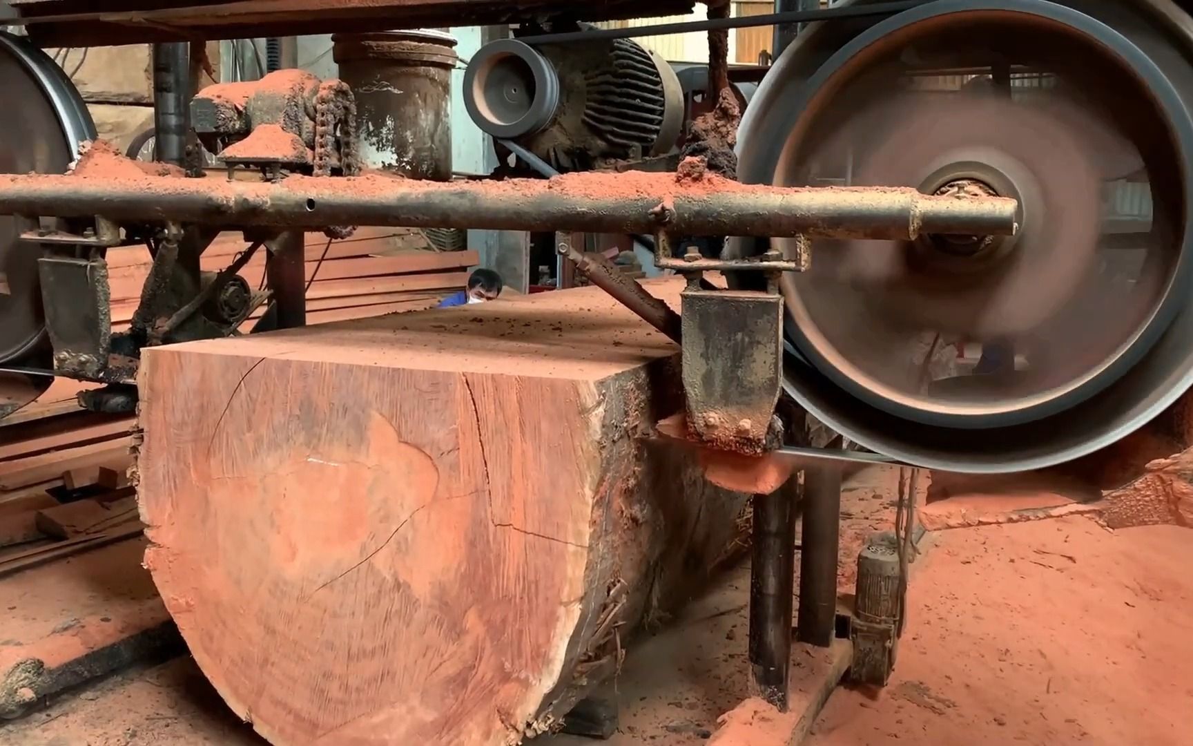 锯木厂 - 木工极其危险的切割巨大木材