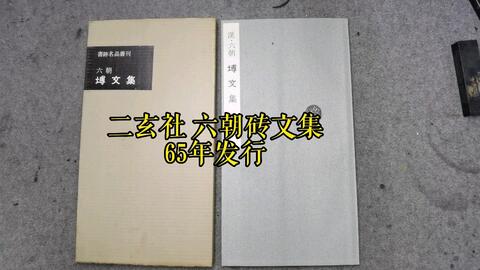 65年二玄社书迹名品丛刊汉○六朝砖文集_哔哩哔哩_bilibili