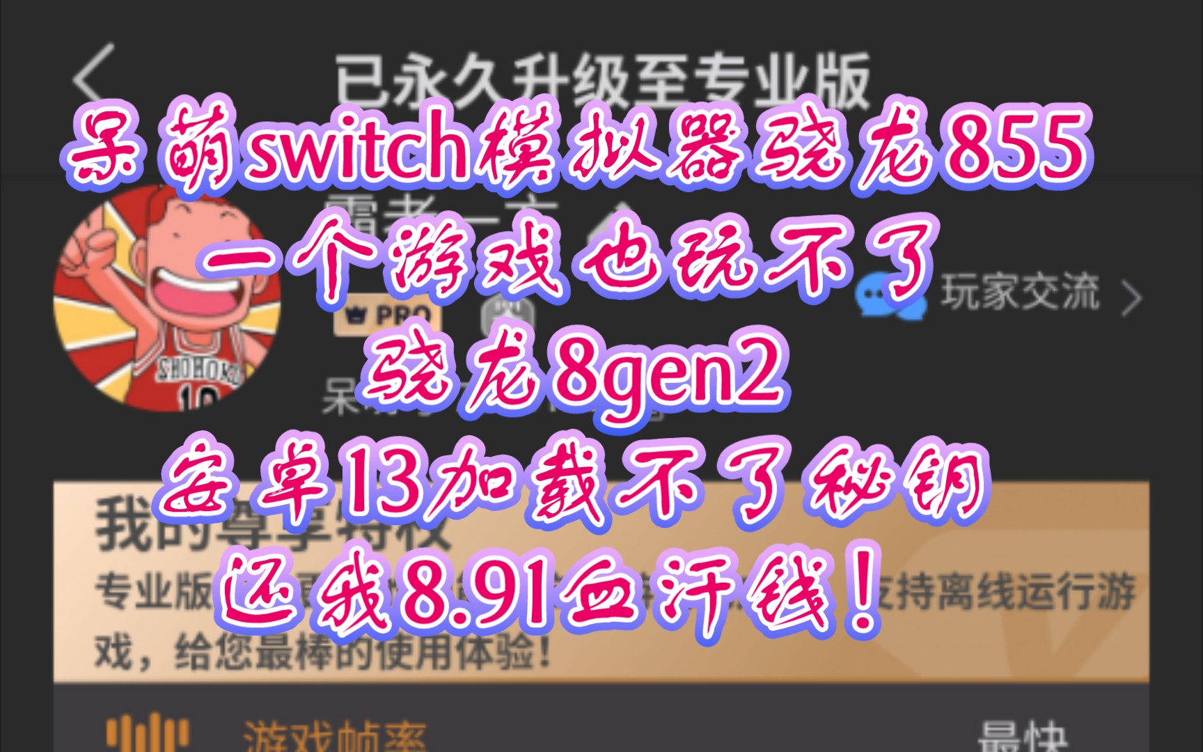 呆萌switch模拟器:骁龙855一个游戏也玩不了!骁龙8gen2安卓13则加载不了秘钥!还我的8.91元!目前跟skyline和蛋蛋模拟器差远了.塞尔达传说哔哩哔...