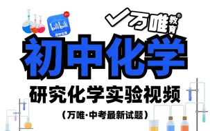 Descargar video: 【初中化学实验】万唯中考实验！这绝对是小破站上最简单易懂有趣的初中化学动画版教程！零基础|通俗易懂|全干货无废话！让你不再走弯路!1.空气中氧气含量的测定