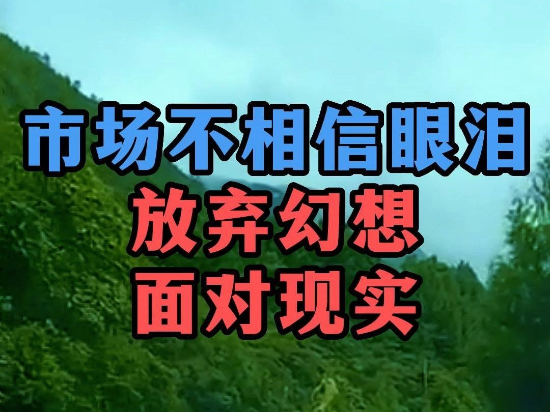 市场不相信眼泪:放弃幻想,面对现实