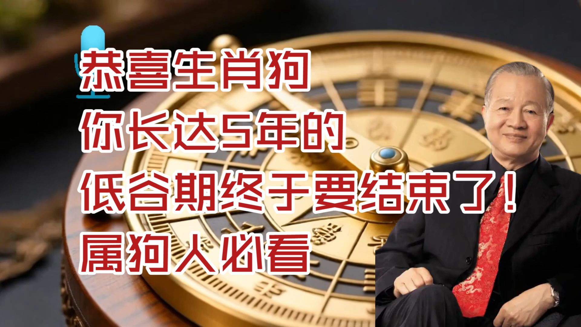 生肖狗生肖财运运势排名(2021生肖狗的财运怎么样)