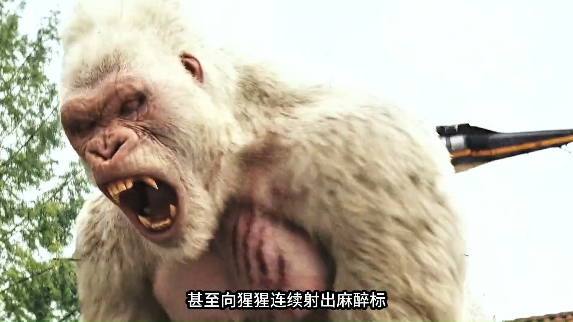 白猩猩只是碰了下地上的装置,竟突然狂暴变异