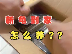 Download Video: 新龟到家静养多少天？放多少水位合适？一个视频告诉你