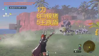 1刀6白银猪5王族盾