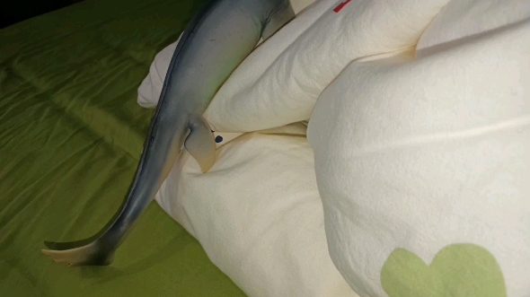 海王龙vs博亚卡克柔龙