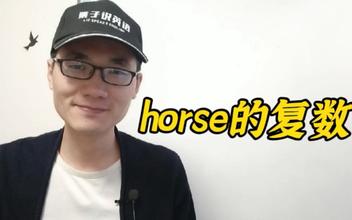 有同学问:horse这个单词的复数是什么?哔哩哔哩bilibili