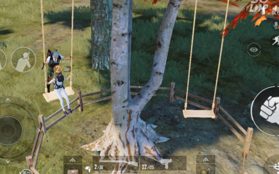 吃鸡,荡秋千.想和我一起玩儿吗?