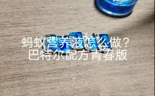 喂蚂蚁的营养液怎么做？