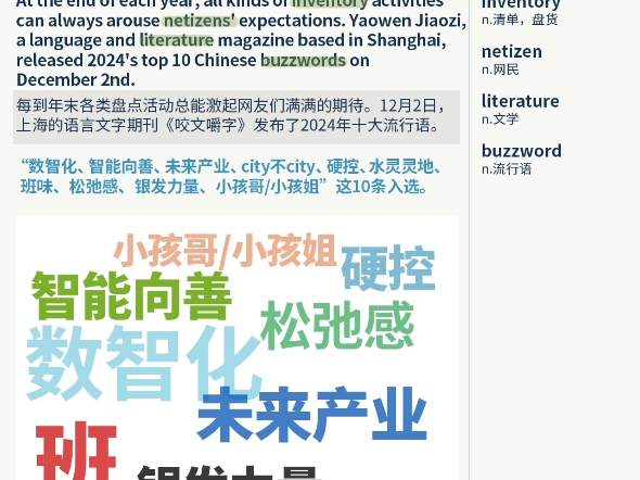 2024十大网络流行语,你被“硬控” 了吗?哔哩哔哩bilibili