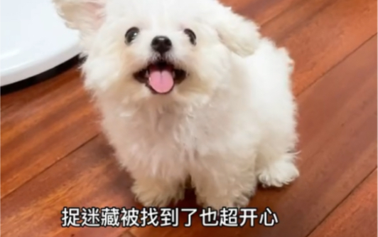 中国路面机械网新哈希娱乐闻中心