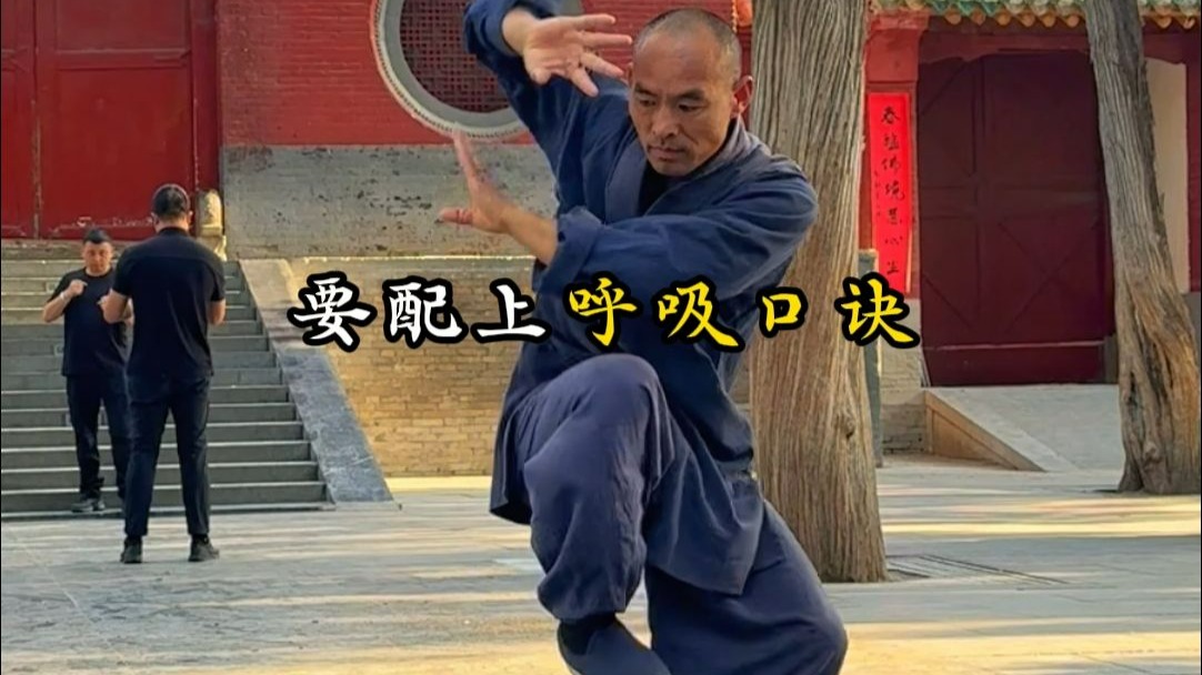 少林养生八段锦完整版跟练丨详细口令+呼吸引导 0基础也可以练出精气神 ，大家记得每日练习喔！#八段锦#养生操#居家锻炼#八段锦教视频完整版  #古法健身