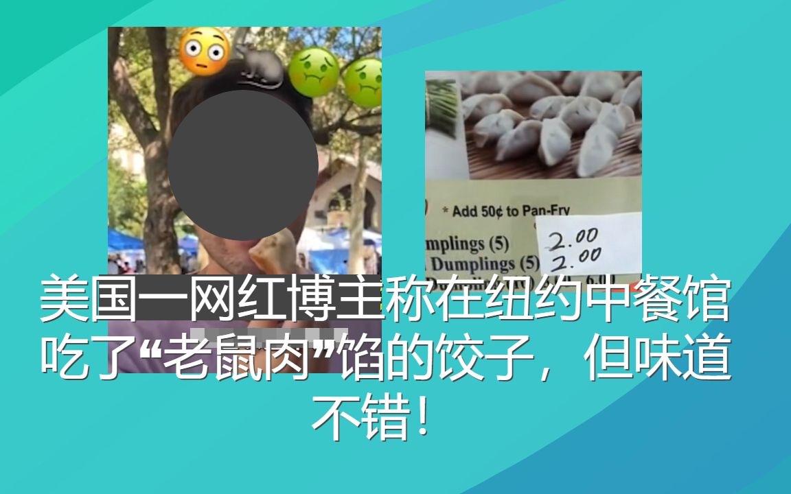 美国一网红博主称在纽约中餐馆吃了“老鼠肉”馅的饺子,但味道不错!哔哩哔哩bilibili