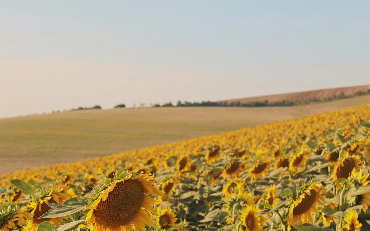 氛围感风景壁纸 太喜欢了![哇]