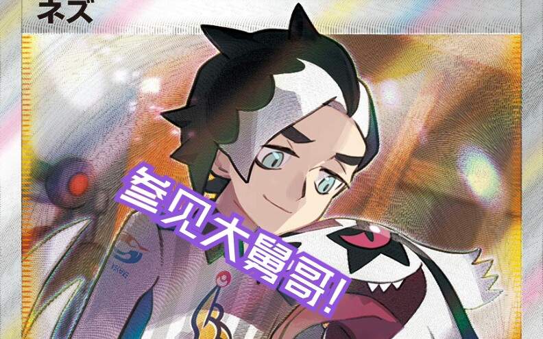 聂梓:? 【剑盾】精灵宝可梦  【彼岸解说】