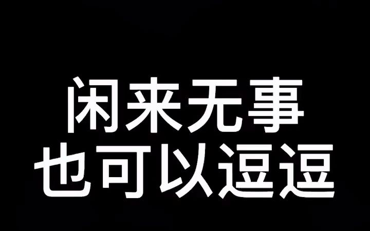 小度智能音箱功能演示,一款人机对话的智能机器人.控制家电,排解寂寞!哔哩哔哩bilibili