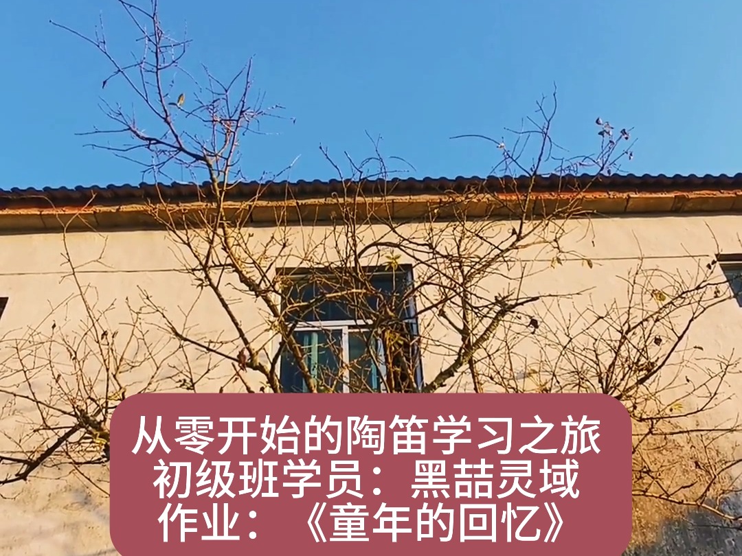 从零开始的陶笛学习之旅 初级班学员作业哔哩哔哩bilibili