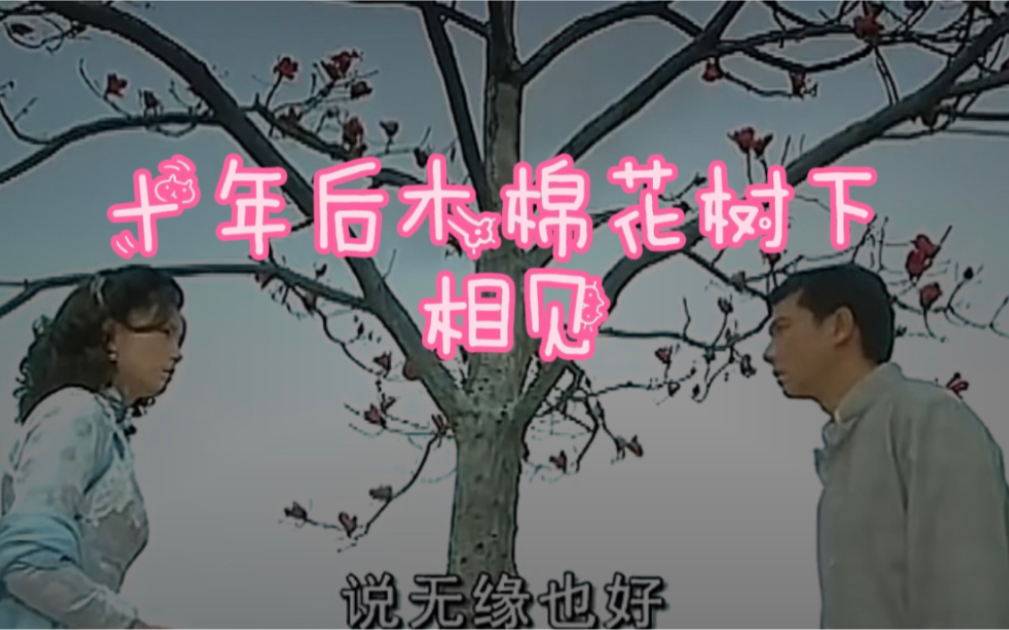 [图]28.有情人不能眷属，棉花树下花开花落昔年同，花谢花开，重来过～