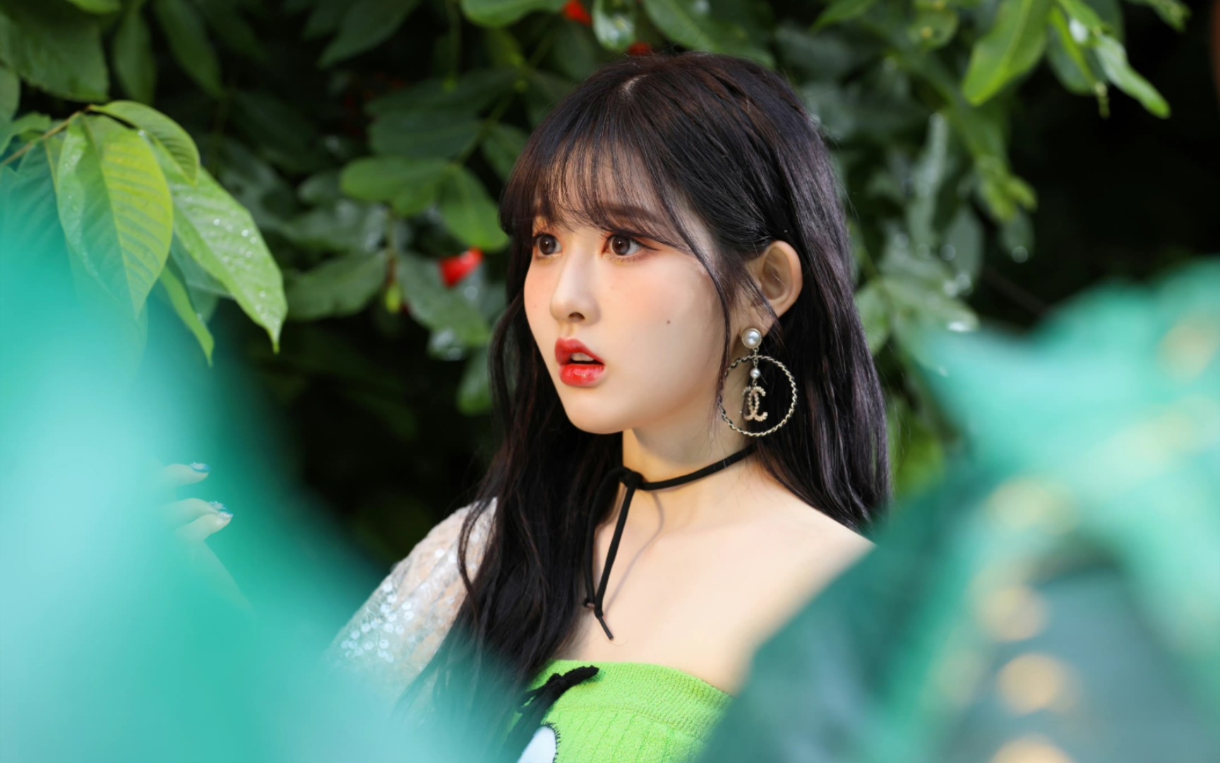 朴莳恩 j张礼恩 isa李彩英