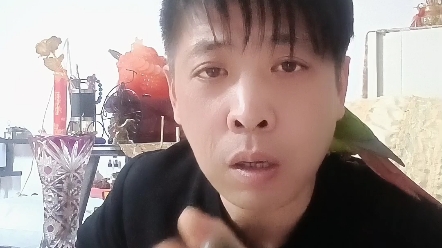 你喜欢看的内容,系统会自动推荐给你,可能是你的信息泄露了,一招教你如何解决.哔哩哔哩bilibili