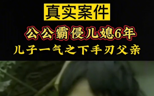 ＂真实案件 ＂伦理 ＂恐怖 公公霸侵儿媳6年,儿子忍无可忍手刃父亲＂ 真实事件 ＂ 令人震惊 ＂ 细思极恐 ＂ 颠覆三观 ＂ 丧心病狂哔哩哔哩bilibili