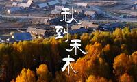 秋到禾木｜这里的秋色登峰造极