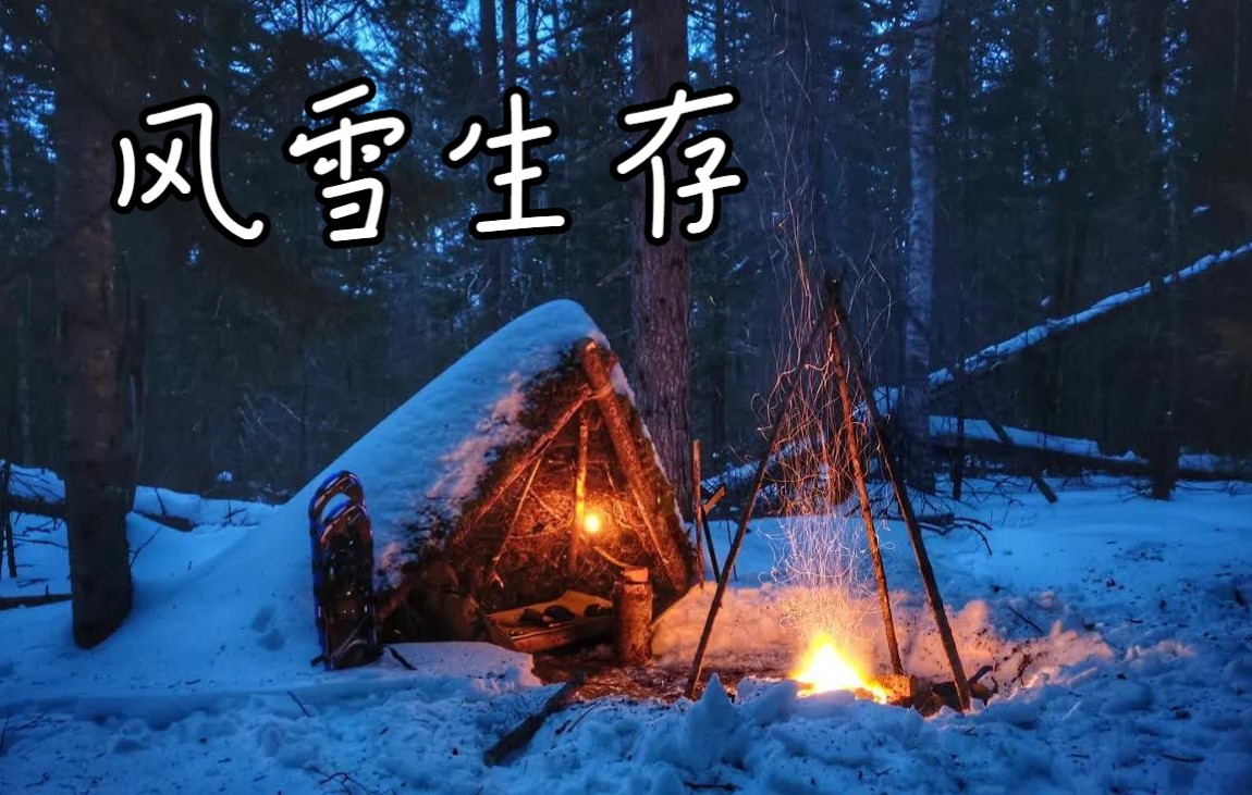 丛林之旅|单人冬季过夜|原始住所|风雪中生存哔哩哔哩bilibili